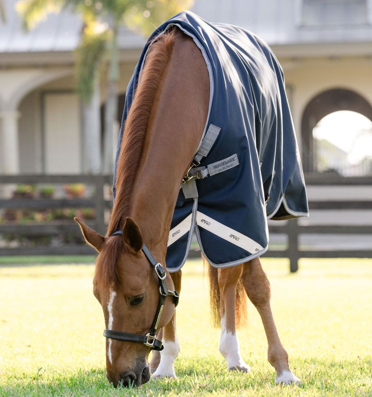 Horseware Amigo® 1200D Turnout 250g - Horseware Ireland - Equiluxe Tack