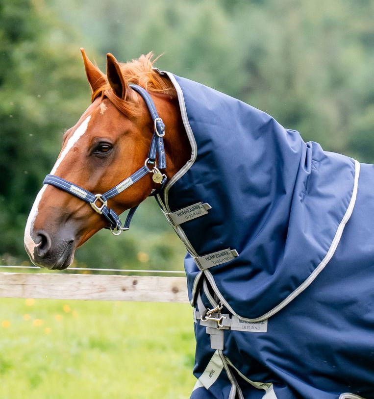 Horseware Amigo® 1200D Turnout Hood 150g - Horseware Ireland - Equiluxe Tack