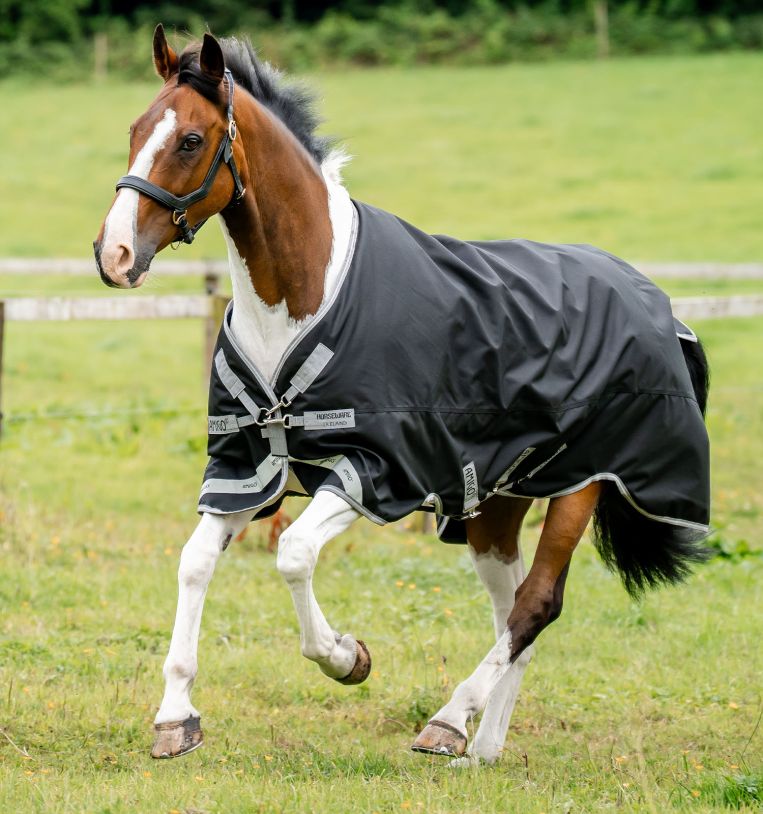 Horseware Amigo® 1200D XL Turnout 150g - Horseware Ireland - Equiluxe Tack