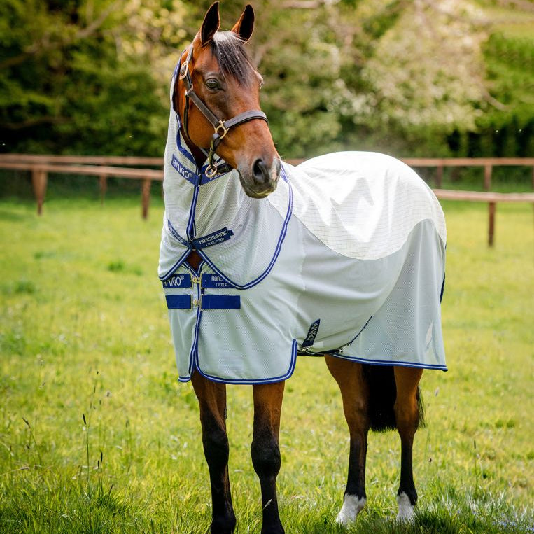 Horseware Amigo® Airflow Fly Sheet - Horseware Ireland - Equiluxe Tack