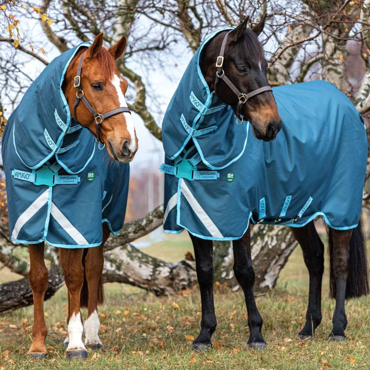 Horseware Amigo® AmECO 12 Plus Turnout (250g Medium) - Horseware Ireland - Equiluxe Tack