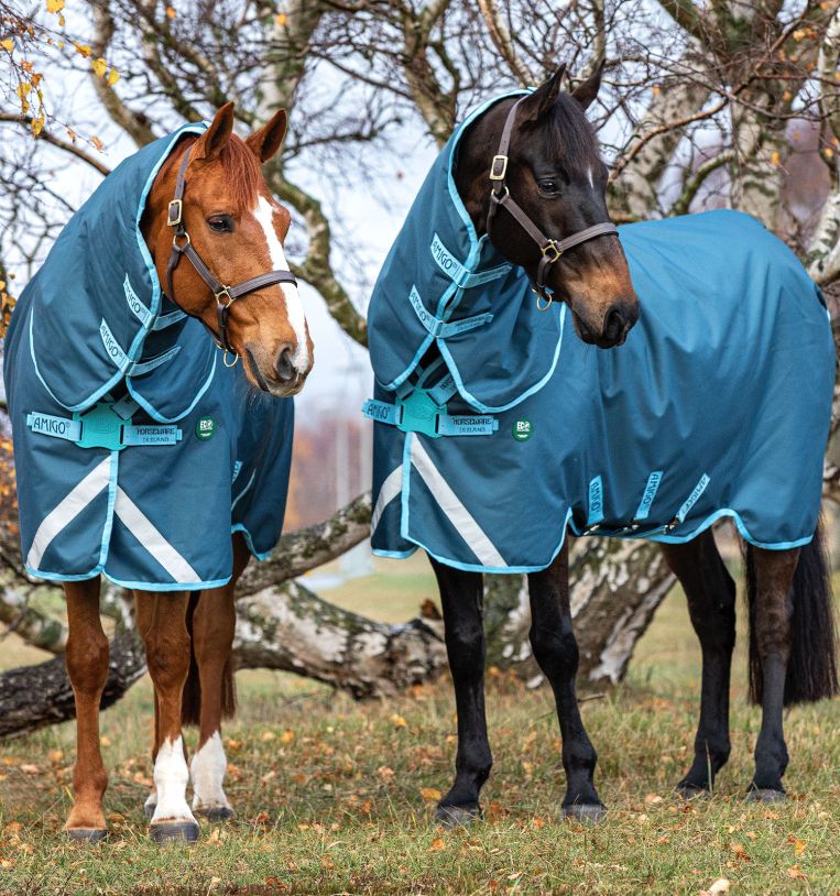 Horseware Amigo® AmECO 12 Plus Turnout (250g Medium) - Horseware Ireland - Equiluxe Tack