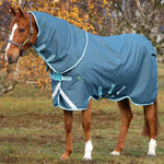 Horseware Amigo® AmECO 12 Plus Turnout (250g Medium) - Horseware Ireland - Equiluxe Tack