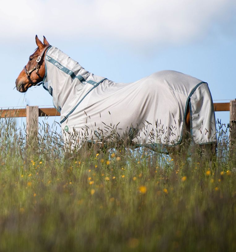 Horseware Amigo® AmECO Bug Rug Fly Sheet - Horseware Ireland - Equiluxe Tack