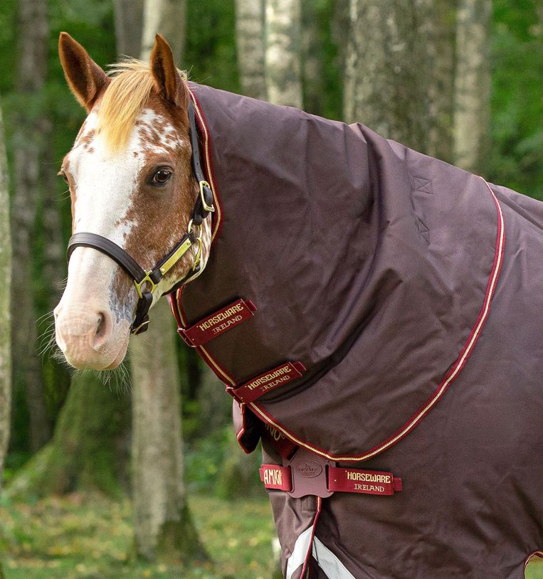 Horseware Amigo® Bravo 12 Original Hood (0g Light) - Horseware Ireland - Equiluxe Tack