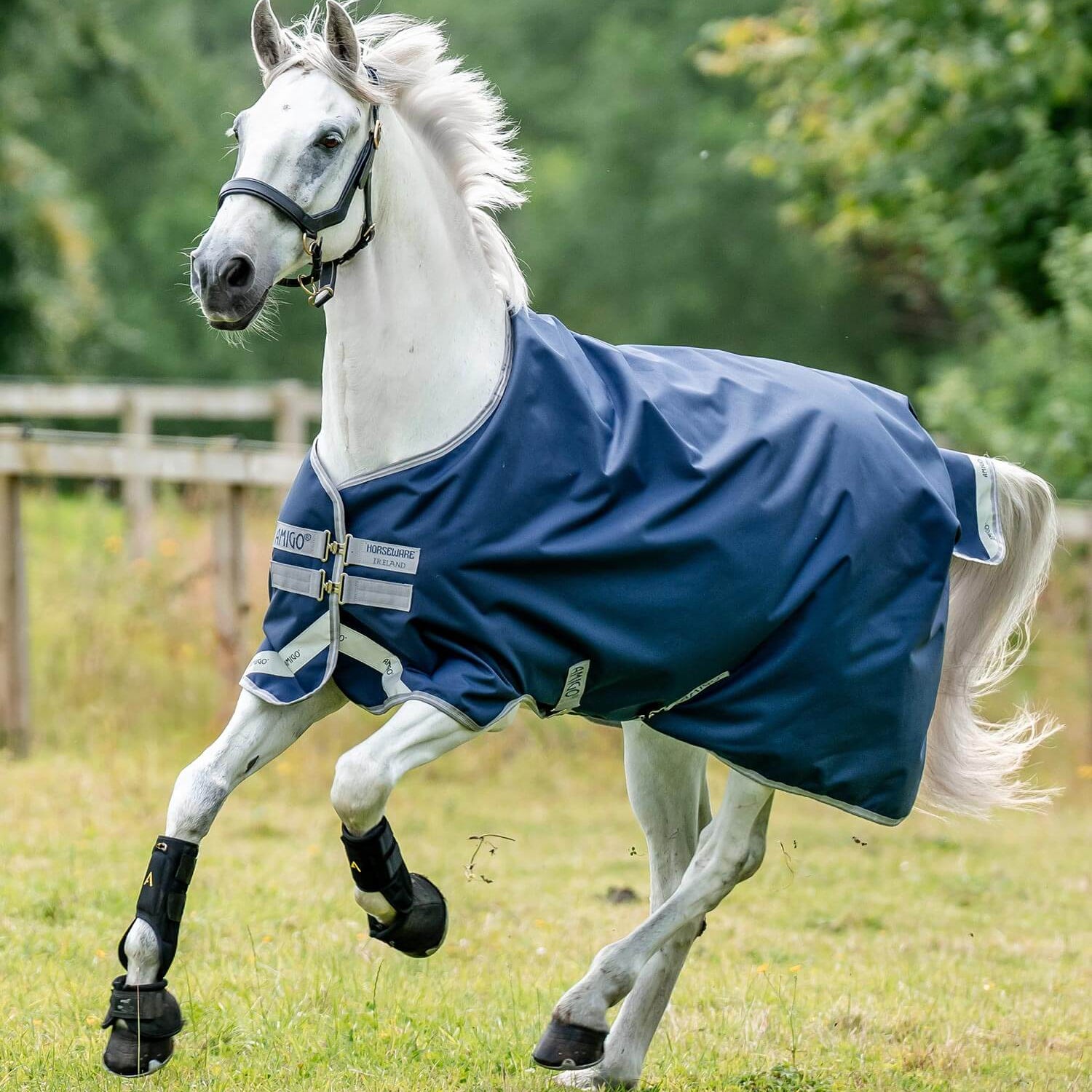 Horseware Amigo® Bravo 12 Original Turnout (100g Light) - Horseware Ireland - Equiluxe Tack