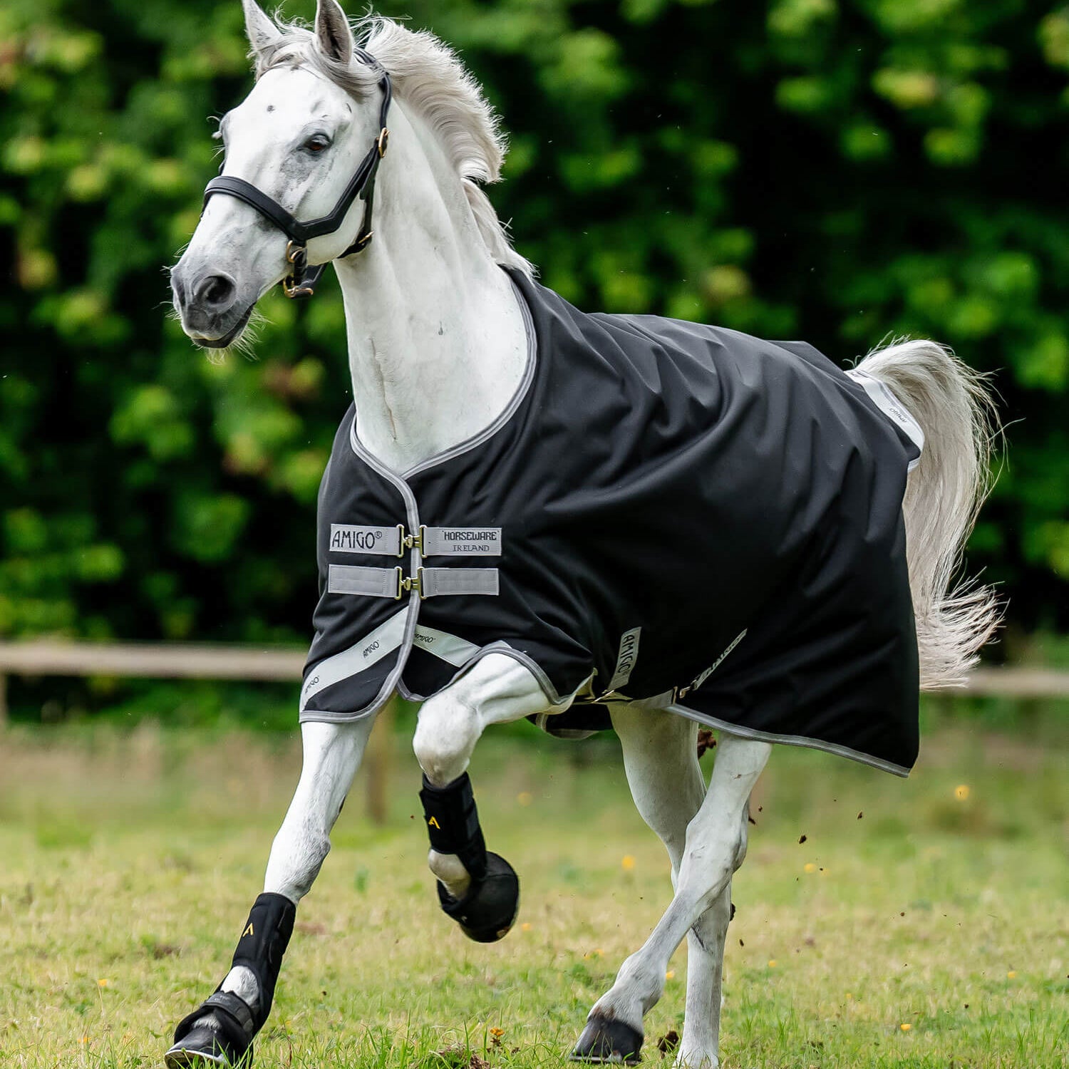 Horseware Amigo® Bravo 12 Original Turnout (250g Medium) - Horseware Ireland - Equiluxe Tack