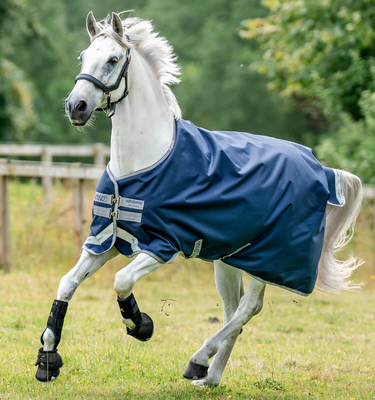 Horseware Amigo® Bravo 12 Original Turnout (250g Medium) - Horseware Ireland - Equiluxe Tack