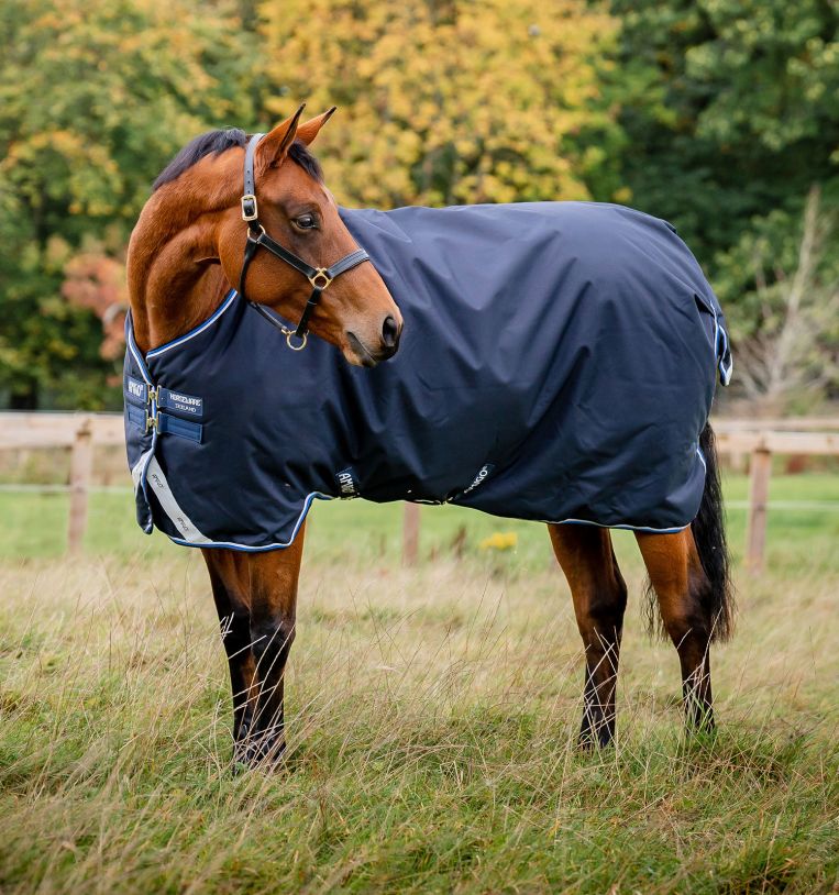 Horseware Amigo® Bravo 12 Original Turnout (250g Medium) - Horseware Ireland - Equiluxe Tack