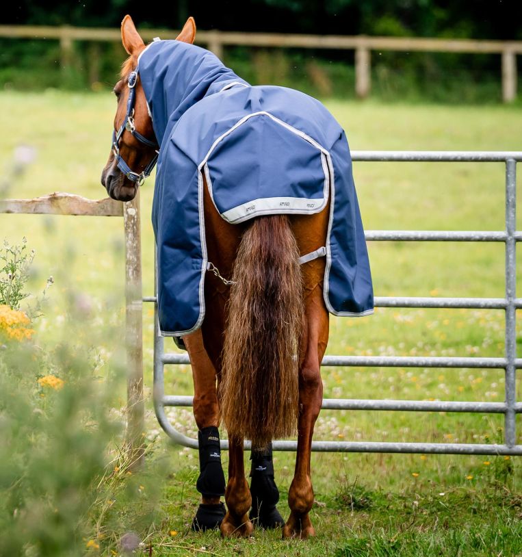 Horseware Amigo® Bravo 12 Plus Bundle Turnout (50g Outer with 100g Liner & 200g Liner) - Horseware Ireland - Equiluxe Tack