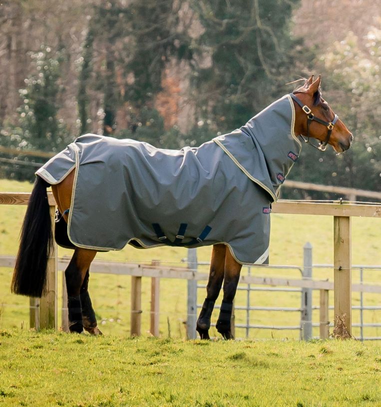 Horseware Amigo® Bravo 12 Plus Turnout (0g Light) - Horseware Ireland - Equiluxe Tack