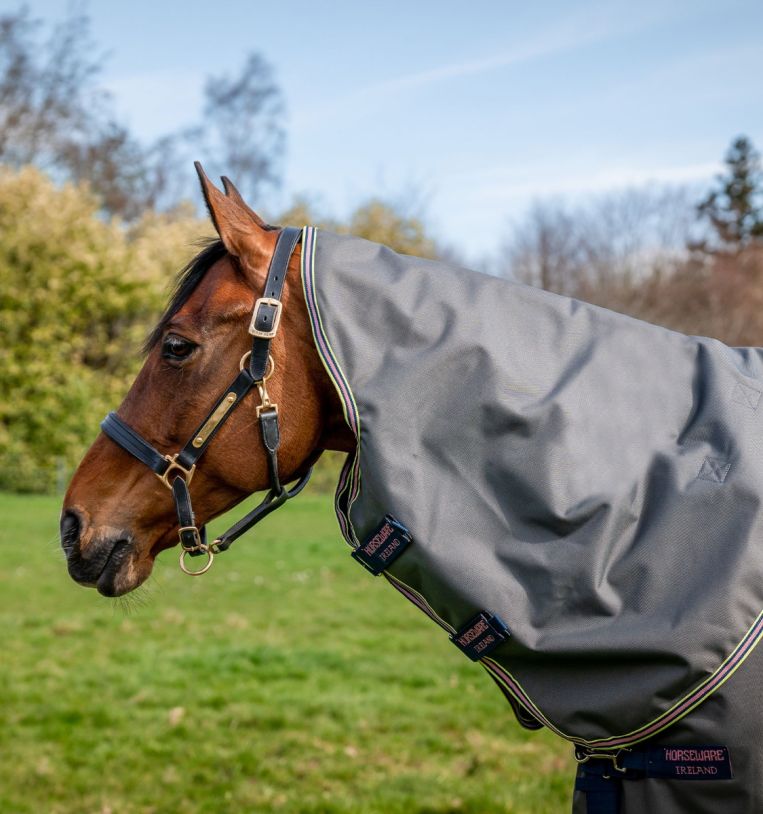 Horseware Amigo® Bravo 12 Plus Turnout (0g Light) - Horseware Ireland - Equiluxe Tack