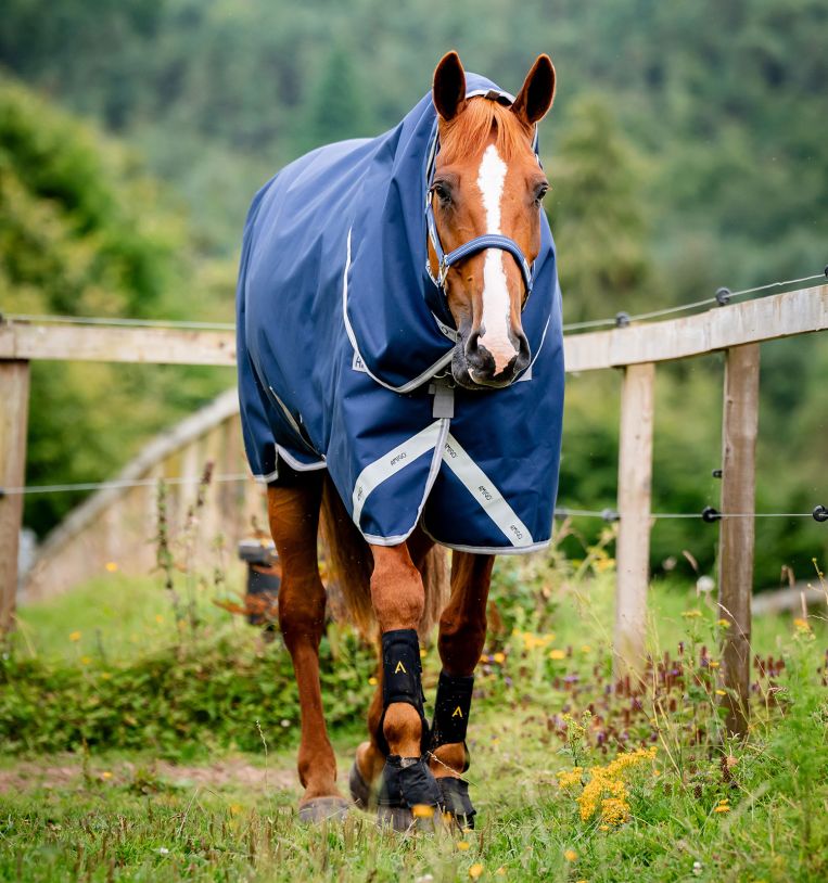 Horseware Amigo® Bravo 12 Plus Turnout (100g Light) - Horseware Ireland - Equiluxe Tack