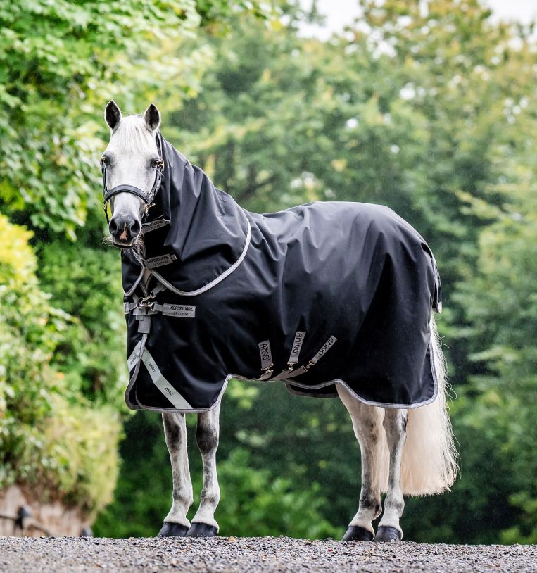 Horseware Amigo® Bravo 12 Plus Turnout (100g Light) - Horseware Ireland - Equiluxe Tack