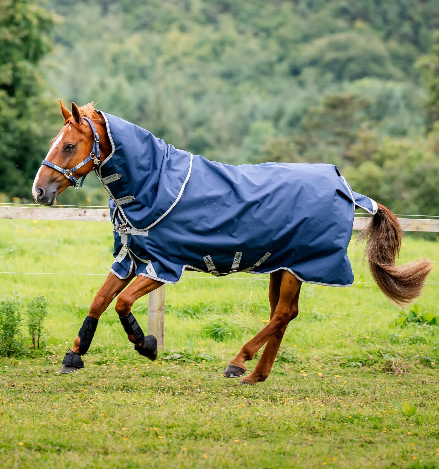 Horseware Amigo® Bravo 12 Plus Turnout (400g Heavy) - Horseware Ireland - Equiluxe Tack