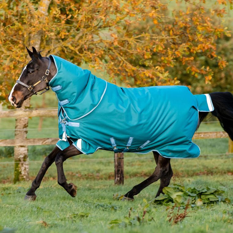 Horseware Amigo® Bravo 12 Plus Turnout (400g Heavy) - Horseware Ireland - Equiluxe Tack