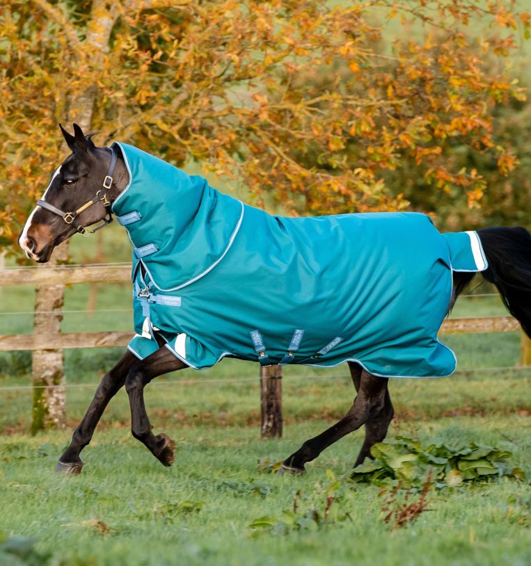 Horseware Amigo® Bravo 12 Plus Turnout (400g Heavy) - Horseware Ireland - Equiluxe Tack