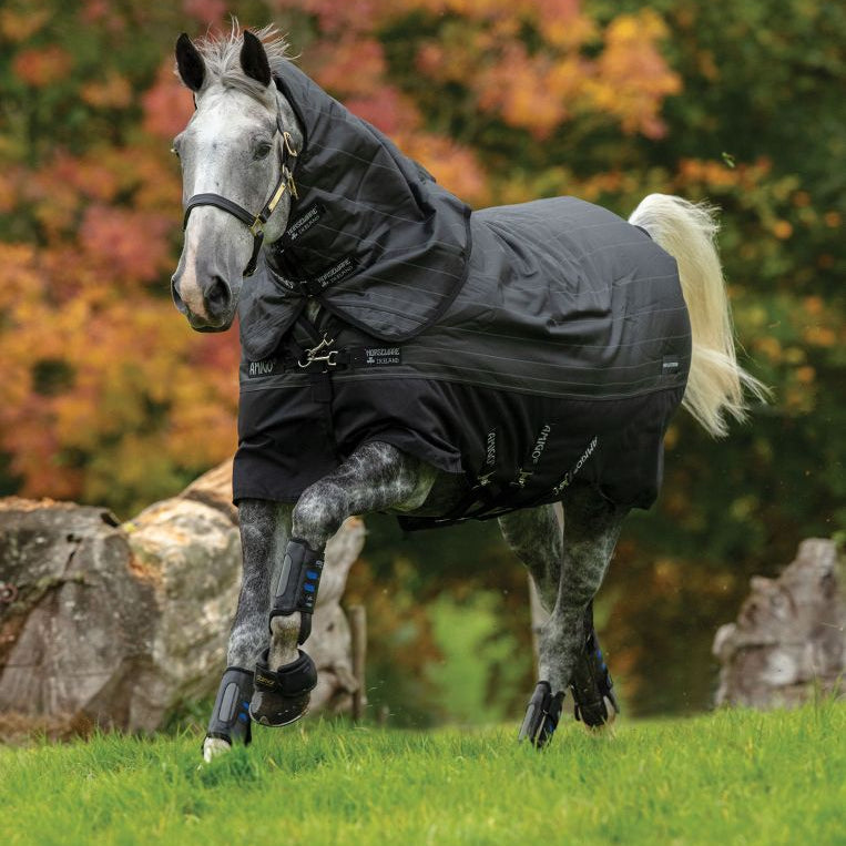 Horseware Amigo® Bravo 12 Reflectech Plus Turnout (250g Medium) - Horseware Ireland - Equiluxe Tack