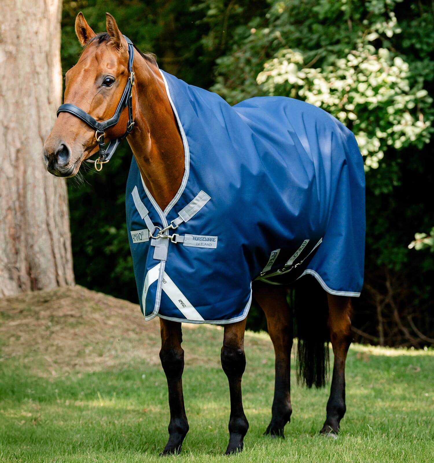 Horseware Amigo® Bravo 12 Wug Turnout (250g Medium) - Horseware Ireland - Equiluxe Tack