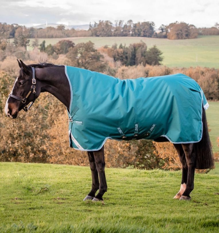 Horseware Amigo® Bravo 12 Wug Turnout (400g Heavy) - Horseware Ireland - Equiluxe Tack