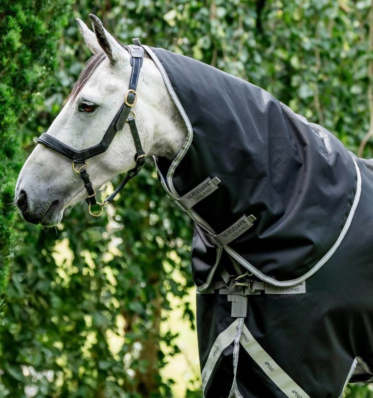Horseware Amigo® Bravo 12 XL Hood (150g Light) - Horseware Ireland - Equiluxe Tack