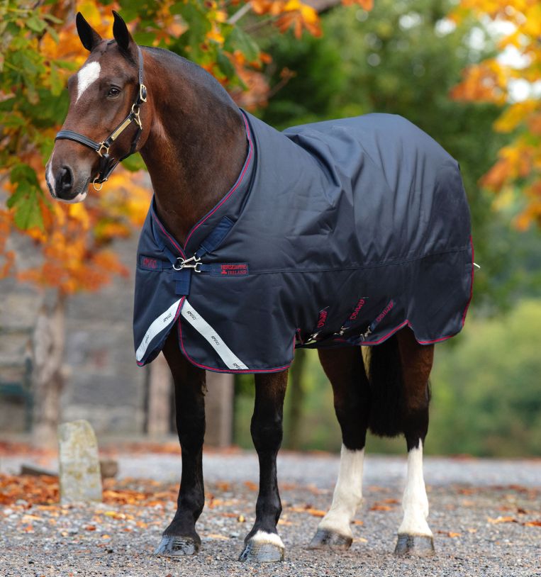 Horseware Amigo® Bravo 12 XL Turnout (0g Light) - Horseware Ireland - Equiluxe Tack