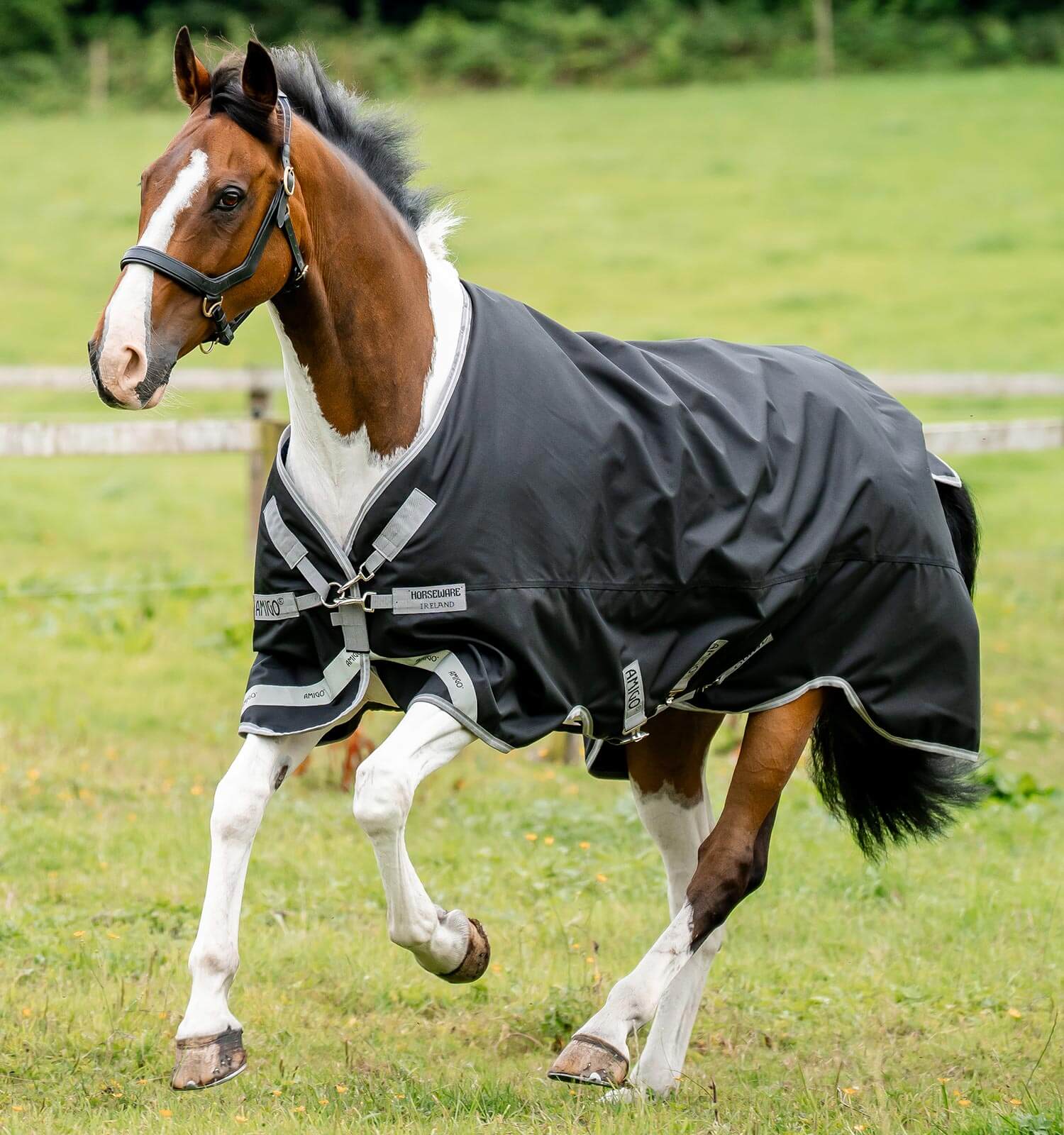 Horseware Amigo® Bravo 12 XL Turnout (0g Light) - Horseware Ireland - Equiluxe Tack