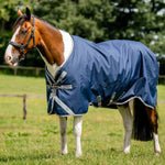 Horseware Amigo® Bravo 12 XL Turnout (250g Medium) - Horseware Ireland - Equiluxe Tack