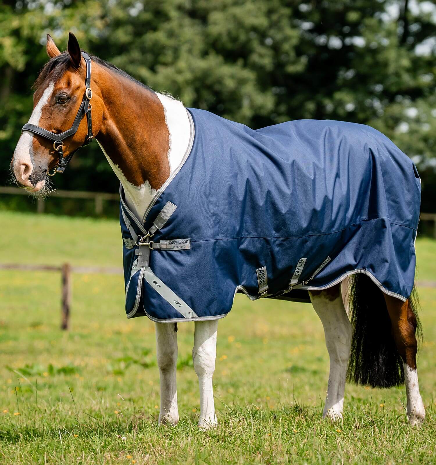 Horseware Amigo® Bravo 12 XL Turnout (250g Medium) - Horseware Ireland - Equiluxe Tack