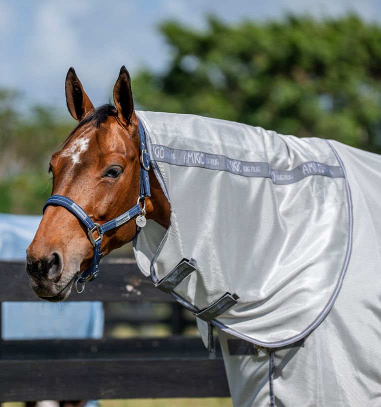 Horseware Amigo® Bug Rug Hood - Horseware Ireland - Equiluxe Tack