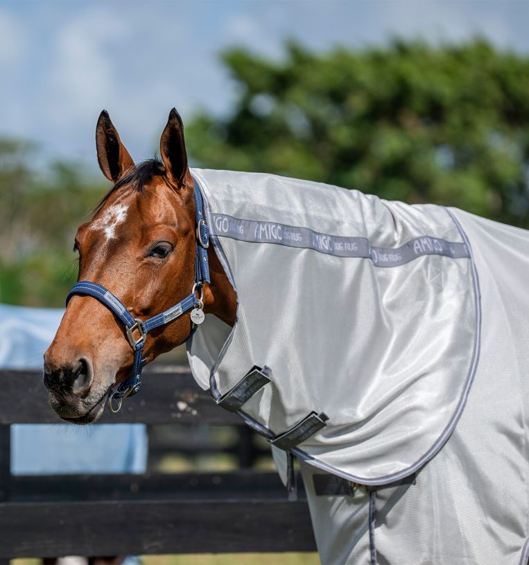 Horseware Amigo® Bug Rug Plus Fly Sheet - Horseware Ireland - Equiluxe Tack
