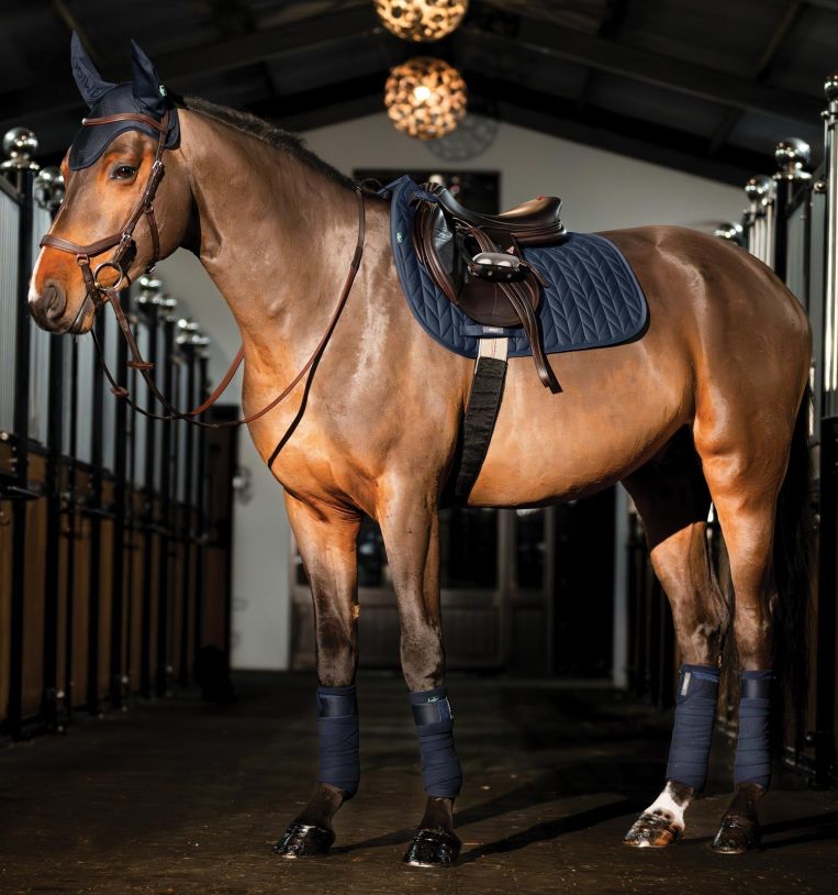 Horseware Amigo® Close Contact Saddle Pad - Horseware Ireland - Equiluxe Tack