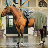 Horseware Amigo® Close Contact Saddle Pad - Horseware Ireland - Equiluxe Tack