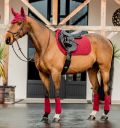 Horseware Amigo® Fleece Bandages - Horseware Ireland - Equiluxe Tack