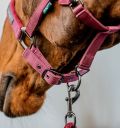 Horseware Amigo® Halter & Leadrope Set - Horseware Ireland - Equiluxe Tack
