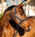 Horseware Amigo® Halter & Leadrope Set - Horseware Ireland - Equiluxe Tack