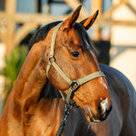 Horseware Amigo® Halter & Leadrope Set - Horseware Ireland - Equiluxe Tack