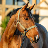 Horseware Amigo® Halter & Leadrope Set - Horseware Ireland - Equiluxe Tack