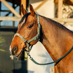 Horseware Amigo® Halter & Leadrope Set - Horseware Ireland - Equiluxe Tack