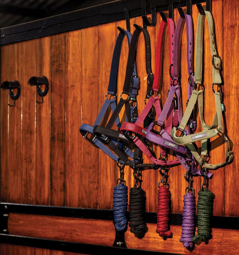 Horseware Amigo® Halter & Leadrope Set - Horseware Ireland - Equiluxe Tack