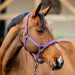 Horseware Amigo® Halter & Leadrope Set - Horseware Ireland - Equiluxe Tack