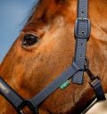 Horseware Amigo® Halter & Leadrope Set - Horseware Ireland - Equiluxe Tack