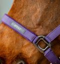 Horseware Amigo® Halter & Leadrope Set - Horseware Ireland - Equiluxe Tack
