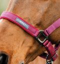 Horseware Amigo® Halter & Leadrope Set - Horseware Ireland - Equiluxe Tack