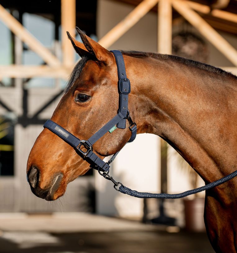 Horseware Amigo® Halter & Leadrope Set - Horseware Ireland - Equiluxe Tack
