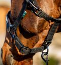 Horseware Amigo® Halter & Leadrope Set - Horseware Ireland - Equiluxe Tack