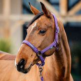 Horseware Amigo® Halter & Leadrope Set - Horseware Ireland - Equiluxe Tack