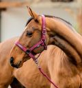 Horseware Amigo® Halter & Leadrope Set - Horseware Ireland - Equiluxe Tack
