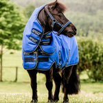 Horseware Amigo® Hero 6 Ripstop Petite Plus Turnout (0g Light) - Horseware Ireland - Equiluxe Tack