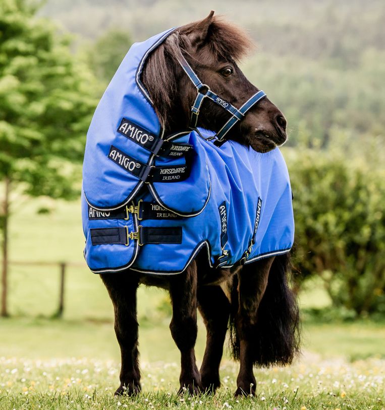 Horseware Amigo® Hero 6 Ripstop Petite Plus Turnout (0g Light) - Horseware Ireland - Equiluxe Tack